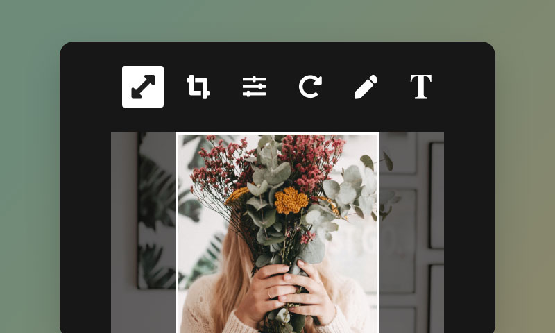 图片编辑器 图片编辑器